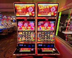556 bet