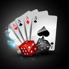 556 bet