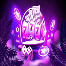 556 bet
