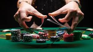 556 bet 556 bet