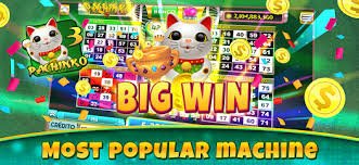 556 bet