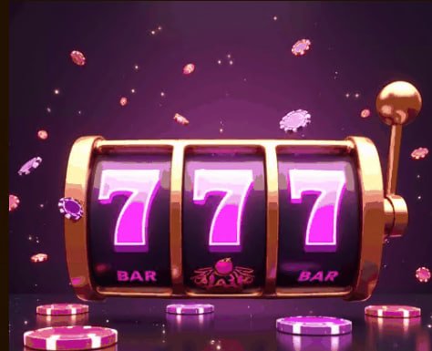 556 bet